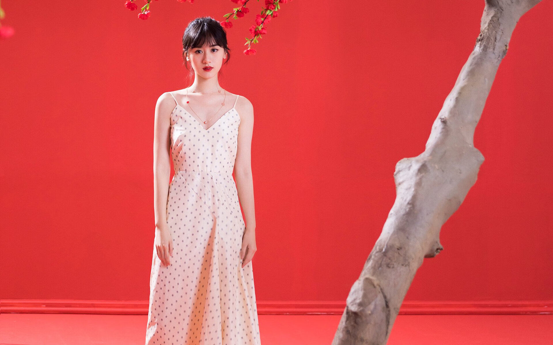 数据统治+绝命封盖，帕斯卡尔·西亚卡姆之夜的唯一性