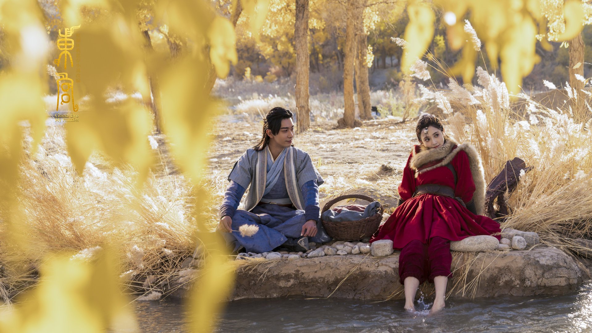 绿茵场上的独行者，当加拿大防线遭遇爱尔兰的坎特风暴