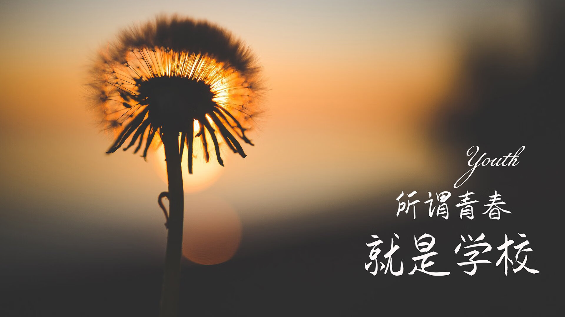 莱比锡红牛的战术实验室,当德国硬度遇上巴西天赋,奥纳纳如何定义门将革命