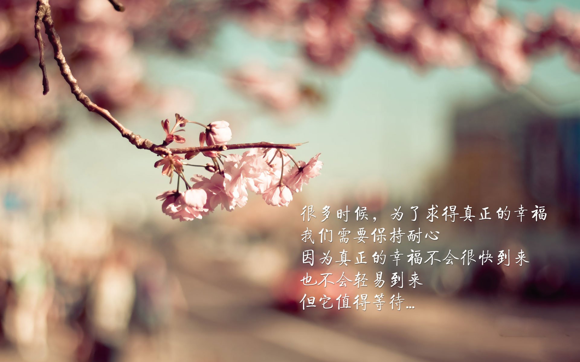 孤星陨落与袋鼠崛起，2026世界杯小组赛焦点战，莫德里奇独木难支，澳大利亚血洗捷克创奇迹