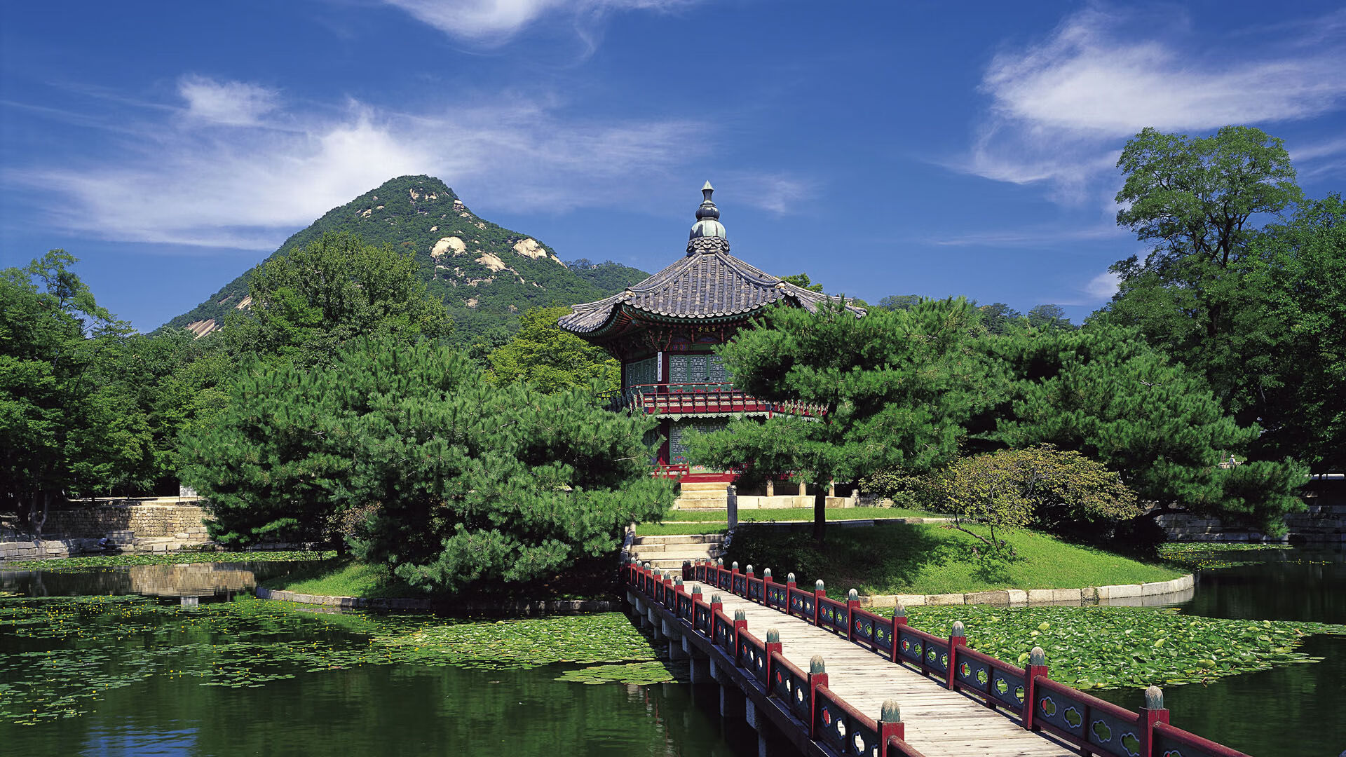 北域之炎，南美之寒，德容用热带悖论击碎哥斯达黎加的狂欢，书写2026最冷血的半决赛